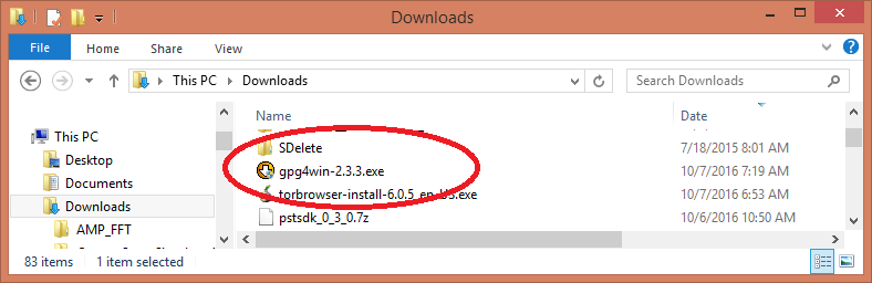 DownloadedGpg4win.png